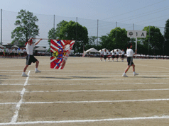 CIMG0225.gif