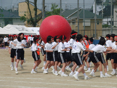 CIMG0256.gif