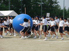 CIMG0257.gif