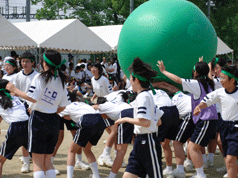 CIMG0258.gif