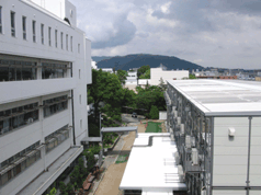 CIMG0921.gif