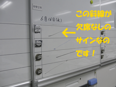 CIMG3000.gif