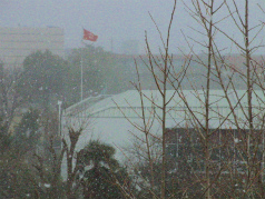 CIMG5503.jpg