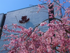 CIMG5757.jpg