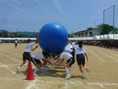 CIMG5951.jpg