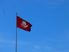 CIMG6234.jpg