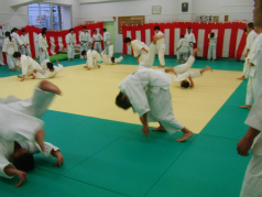 CIMG6976.jpg