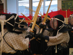 CIMG6991.jpg