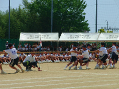 CIMG8866.jpg