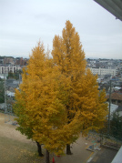 DSCF1641.jpg