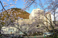 DSC_0021.jpg