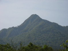 IMG_1343.gif