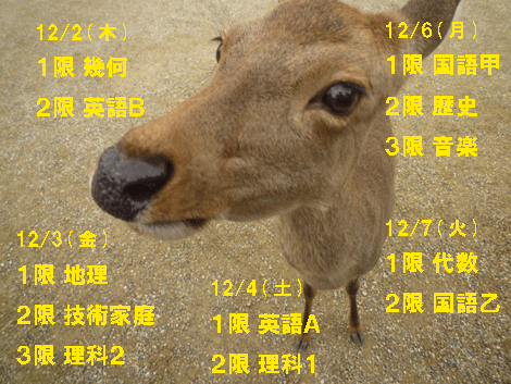 P1023729999.gif