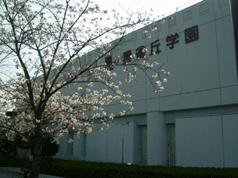 P3240003.gif