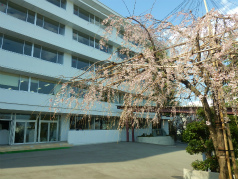 P4040544.jpg