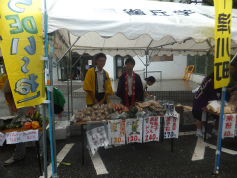 DSCF2642.jpg