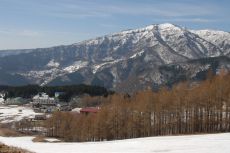DSC_0123_230.jpg