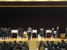 DSC02737.jpg