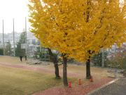 IMG_1812.jpg