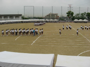 IMG_2446.jpg