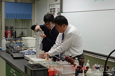 DSC00087.jpg