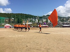 IMG_0613337.jpg