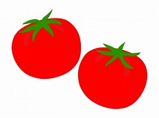 vegetable_tomato_9763-450x337.jpg