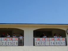 DSC02072%EF%BD%82.jpg
