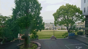 20180505j201.gif