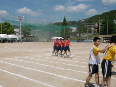 P1000861.jpg